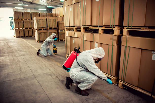 Best Wasp Removal Services  in Defiance, OH