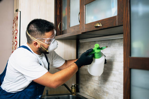 Best Termite Control Services  in Defiance, OH