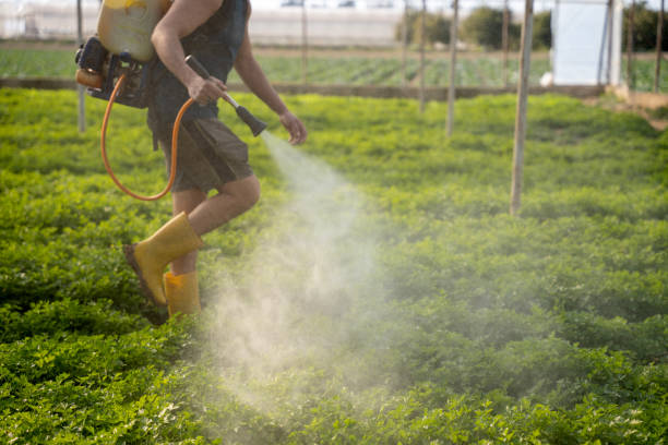 Best Best Pest Control Companies  in Defiance, OH