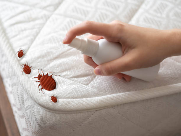 Flea Control Services in Defiance, OH