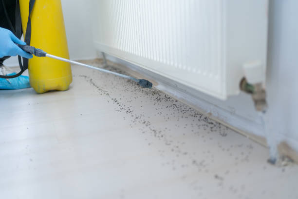 Best Affordable Pest Control Services  in Defiance, OH