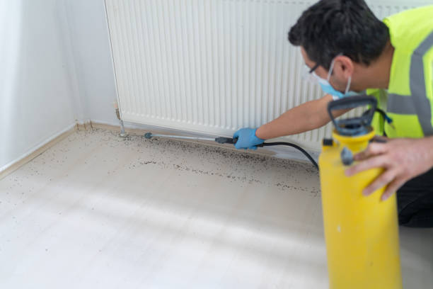 Best Bed Bug Extermination  in Defiance, OH
