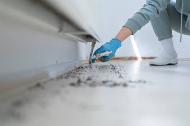 Best Pest Removal Services  in Defiance, OH
