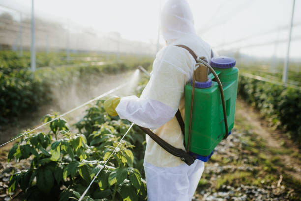 Best Affordable Pest Control Services  in Defiance, OH